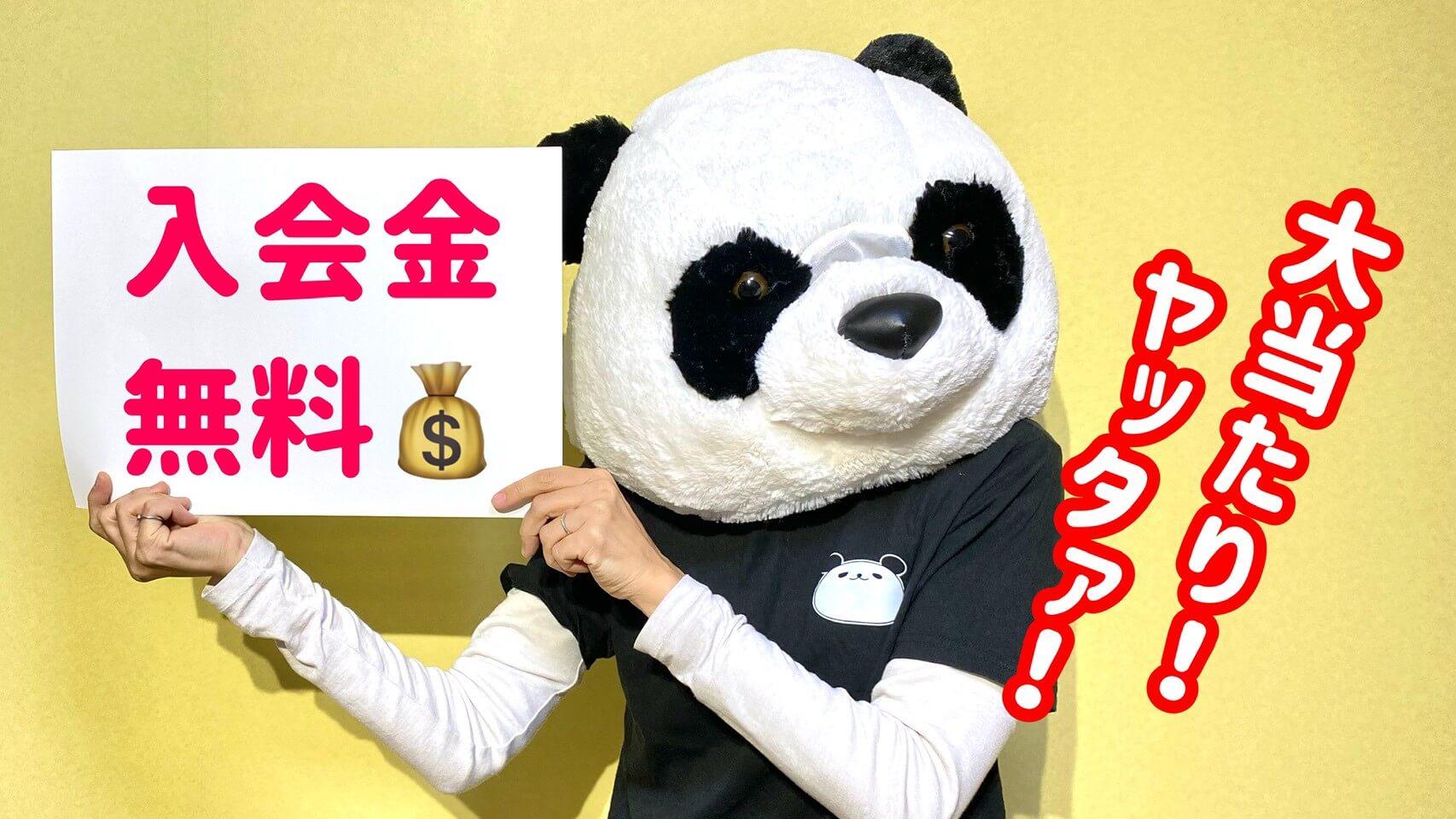 入会金無料